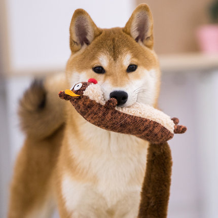 Cozy Plush Sound Toys-0