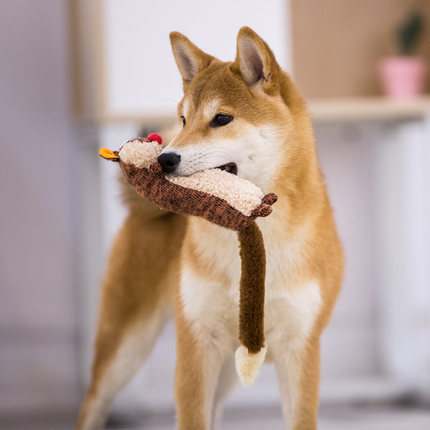 Cozy Plush Sound Toys-3